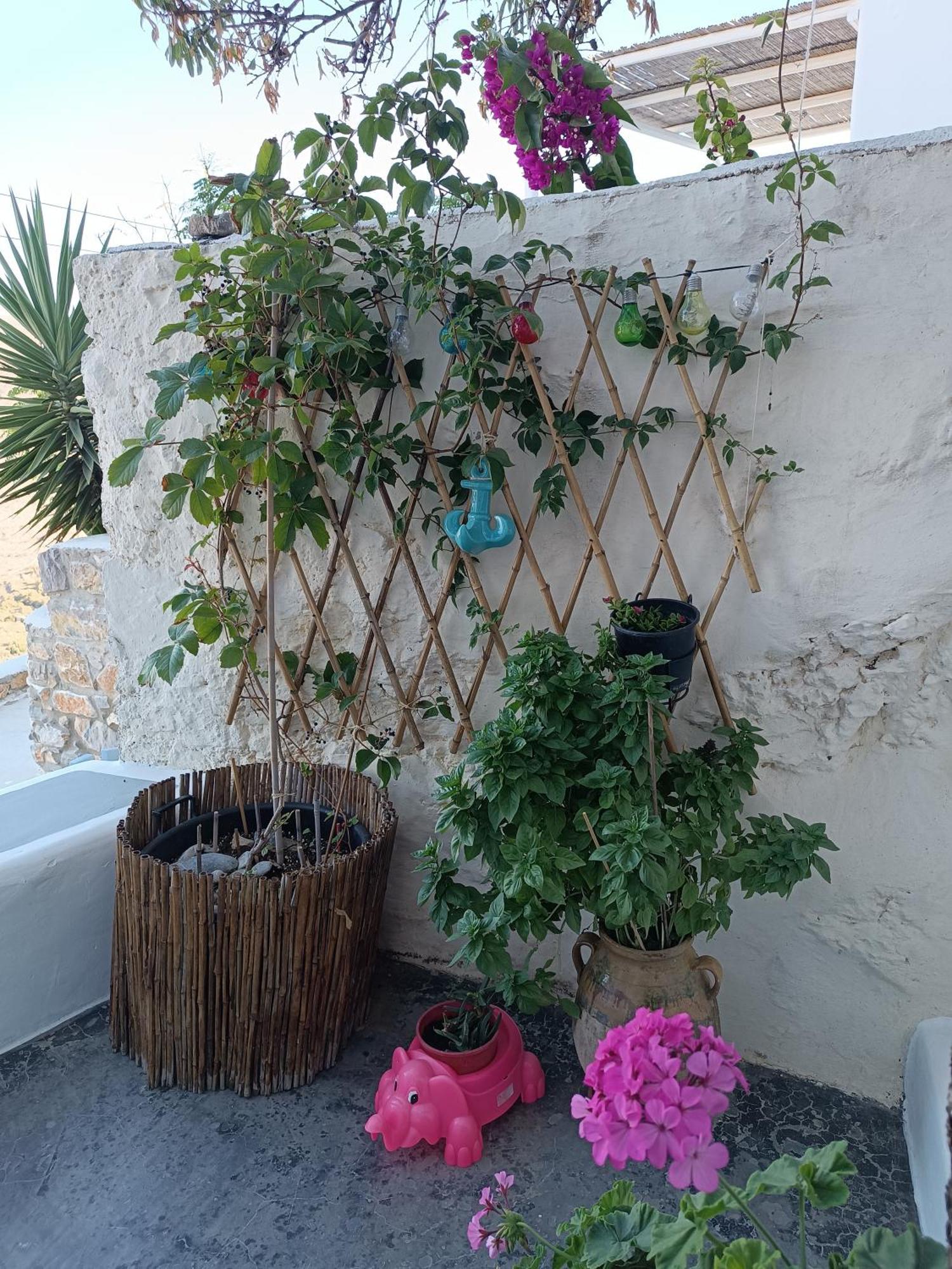 Nina, Dreamy Little Cycladic In Amorgos Villa *