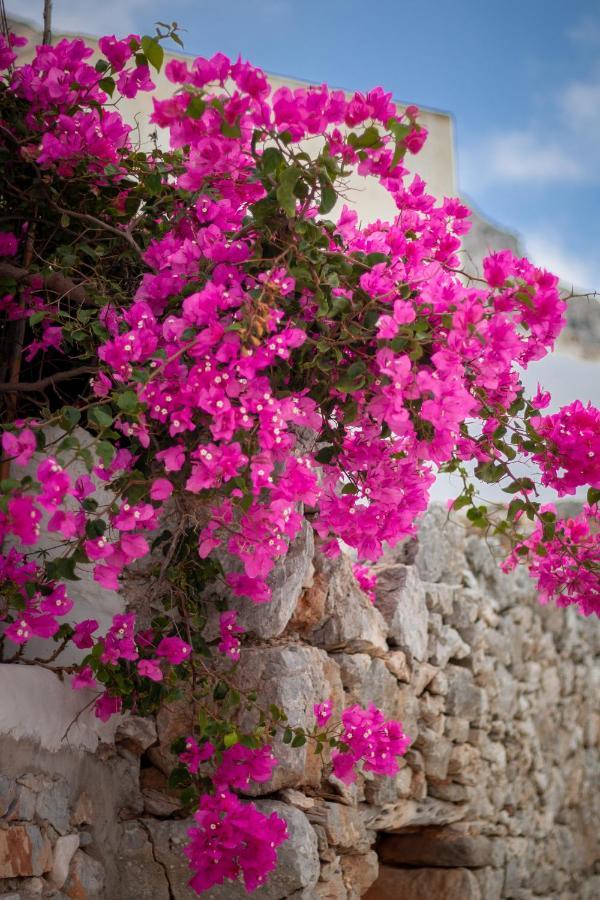 Villa Nina, Dreamy Little Cycladic In Amorgos *
